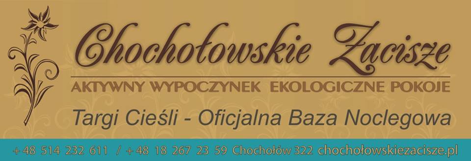 Logotyp Chochłowskie Zacisze
